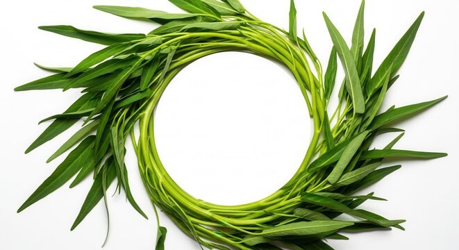 Fresh Green Morning Glory Vines Arranged In A Circular Frame