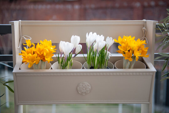 Decorative balcony planter with blooming spring flowers in pots, including white crocuses and yellow blossoms, arranged on a stylish two-tier stand. 