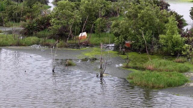 Aerial shot highlights polyfoam rubbish floating in wetland channels among greenery.