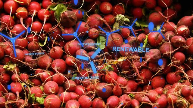 Red radish pile filling frame, blue turbine icons emerging and growing, promoting renewable energy
