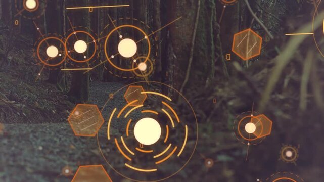 Vertical video: Activating HUD cluster rotating central disc, rings and hexagons in woods, scanning