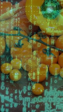 Vertical video: AR scan starting dotted globe, flowing code over fruit bunch, tech scanning fruit