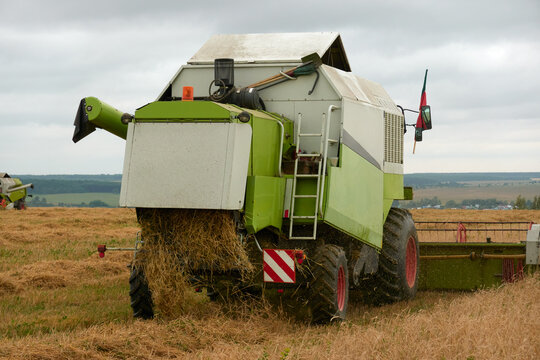 A combine harvester mows the grain and throws the chopped straw into a windrow on the field.