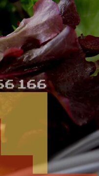 Vertical video: Focus shifting showing greens, bars rising with food data, fork entering