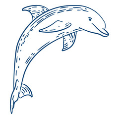 Dolphin line art design © Vexels