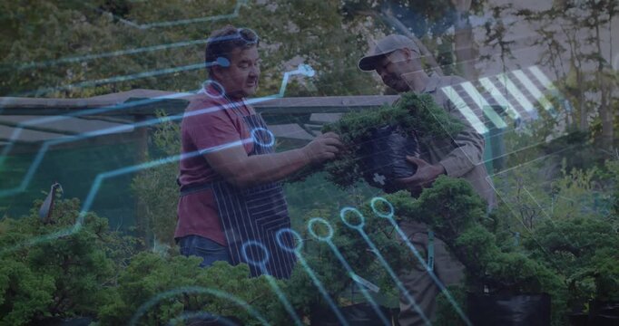 Digital overlay appearing guiding two men trimming bonsai tree for horticultural structure analysis