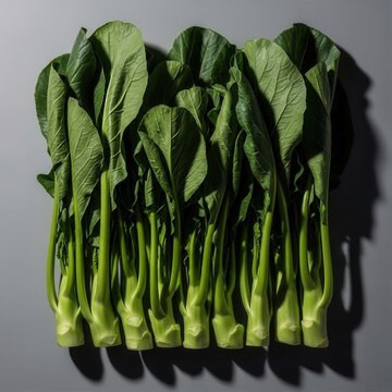 Fresh Organic Choy Sum Grouped Together On A Neutral Background For Healthy Eating