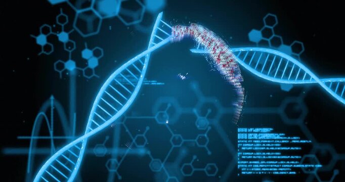 Animation of dna strand, data processing over globeon black background