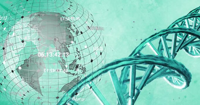 On play globe rotating to Americas while DNA helix shifting crossing extending visualizing genomes