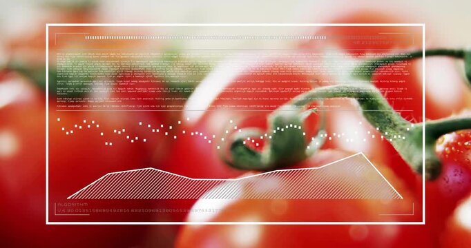 HUD appearing starting tomatoes showing animated waveform, hatched graph mapping freshness