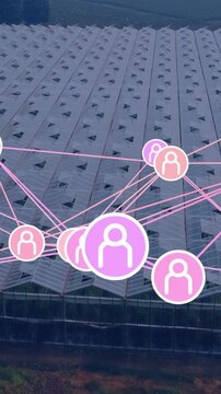 Vertical video: Network overlay appearing over greenhouse, drawing pink icons linking farm sensors