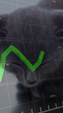 Vertical video: Cat face number showing, green line moving across grid on face, updating pet health
