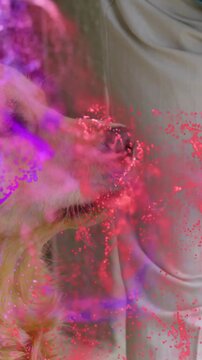 Vertical video: Tilting golden dog following hand with ring entering, seeking petting at home, AR