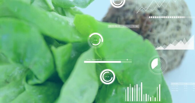 Camera zooming toward leaves, root plug receding, HUD charts animating over foliage for agriculture