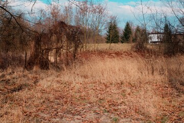 Natura - wiosna © Kajetan