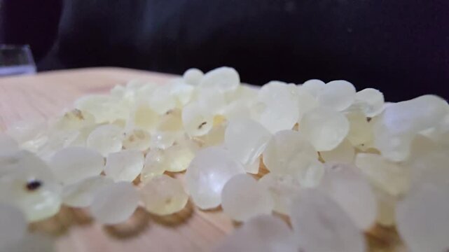 Macro shot of premium Mastic gum (Pistacia lentiscus) tears on a wooden surface. High-quality footage showcasing the translucent, pale yellow resin used in medicine and cooking.