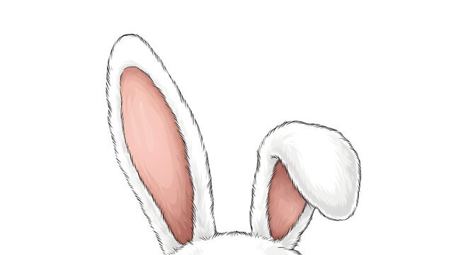 Cute white bunny rabbit ears