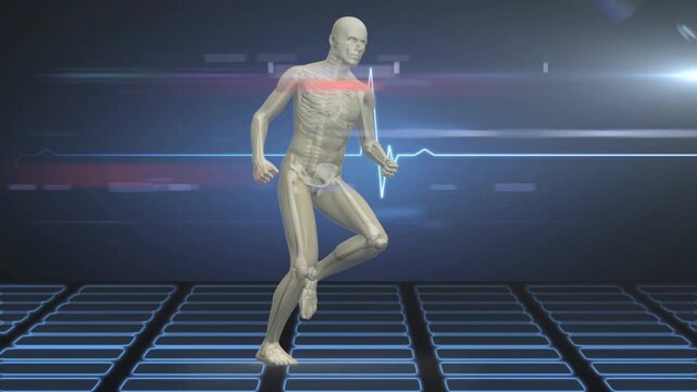 ECG pulsing, left entry starting anatomy model running, showing bones, marking heel for gait study