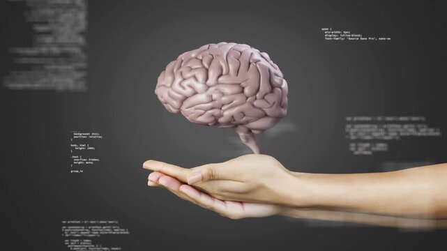 Drifting code with hands entering cupping brain appearing rotating fading and exiting for display
