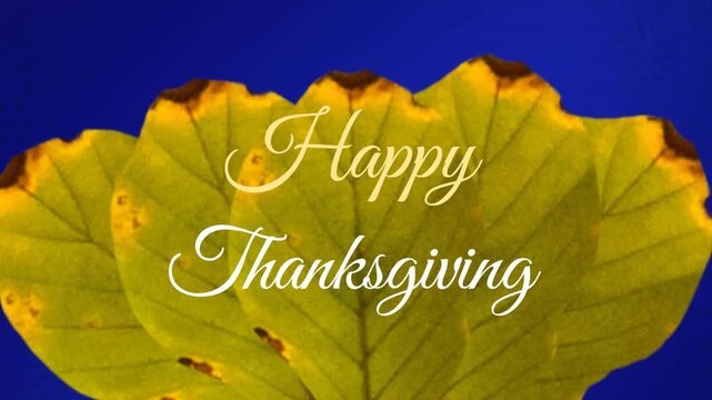 Animation of happy thanksgiving text over leaves on blue background
