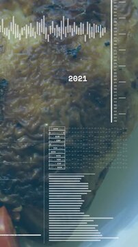 Vertical video: Year cycling HUD overlay scanning plate, animating bars and waveform for food tech