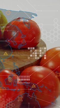 Vertical video: Tomato cluster on board as HUD overlay loading, targeting nodes for food tech