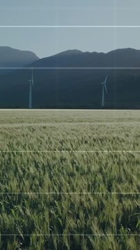 Vertical video: Wind blowing, cereal crops swaying and turbines rotating, showing wind power