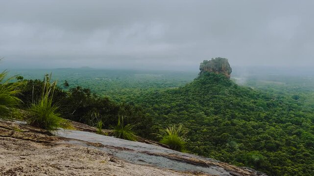 Rising mist over dense jungle viewed from Pidurangala Rock, Sigiriya emerging through clouds, Sri Lanka