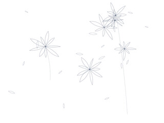 Obraz premium Minimalist Botanical Drawing Elegant Floral Line Art Wallpaper