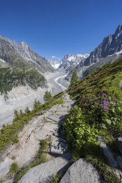 Hiking trail Grand Balcon Nord with view on glacier tongue Mer de Glace, behind Grandes Jorasses, Mont Blanc massif, Chamonix, France