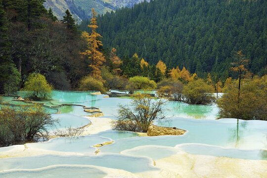 Lime terraces with lakes in autumnal environment, Huanglong National Park, Sichuan Province, China