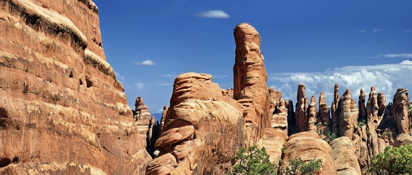 Devil's Garden with stone pinnacles of red Navajo sandstone formed by erosion, Arches-Nationalpark, near Moab, Utah, United States