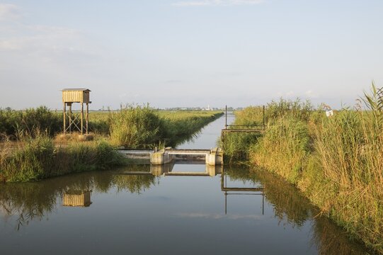 Typical landscape of the Ebro Delta with canals, lock-gate, reed and rice fields, on the left a box for bats, behind the village of Poble Nou del Delta, Ebro Delta Nature Reserve, Tarragona province, Catalonia, Spain