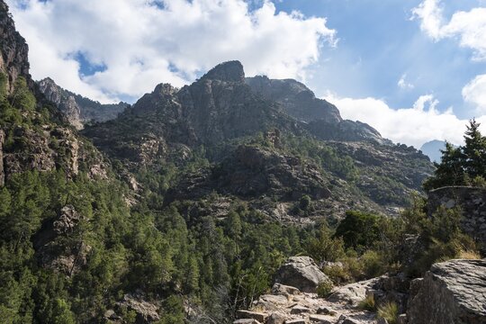 Mountains, hiking trail to the Refuge de Carrozzu, pine forest For&ecirc;t de Bonifatu, Corsica, France