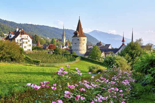 Rose Garden behind Capuchin Tower, Church, Old Town and Rigi, Zug, Canton Zug, Switzerland
