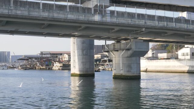 Slow motion landscape showing seagull bird species flying in front of harbour bridge pier overpass with local fishing village behind Honkawa River Hiroshima city Japan tourism and infrastructure