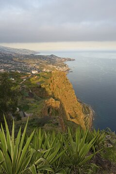View from the lookout point Cabo Girao, 580 meters high cliffs, down to the sea and to the capital town, Funchal, Madeira, Portugal
