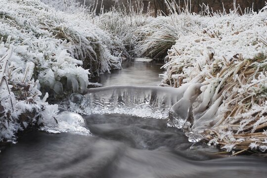 Winter landscape by a stream, hoarfrost and icicles, Hesse, Germany
