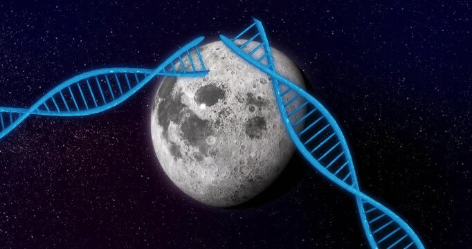 Moon holding center while right helix entering, crossing left strand, revealing craters for science