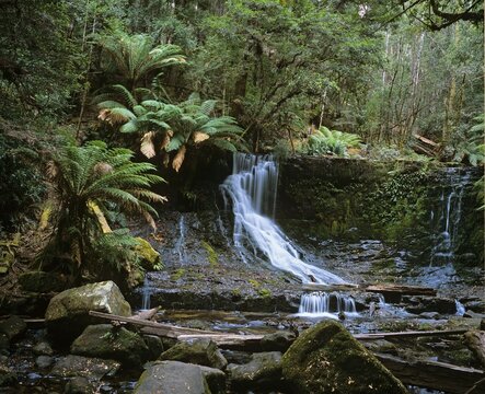 Lady Barron Falls in the Mt Field National Park, Tasmania, Australia