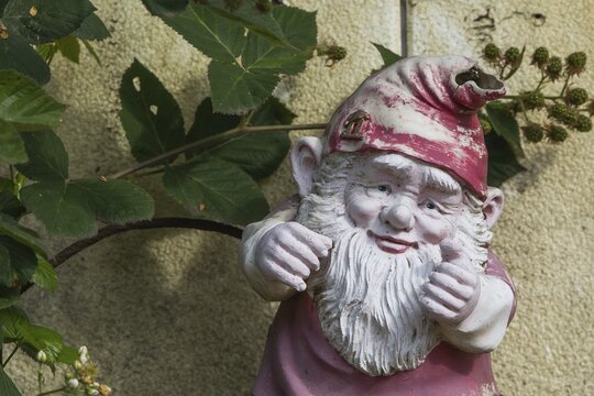 Garden gnome