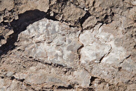 Salt crystal, Valle de la Muerte (Death Valley or sometimes called Martian Valley), San Pedro de Atacama, Regi&oacute;n de Antofagasta, Chile, South America