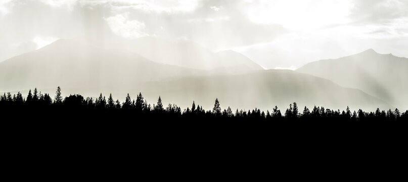 Silhouette of trees, back mountains, Valley of the Five Lakes, Banff National Park, Alberta, Canada