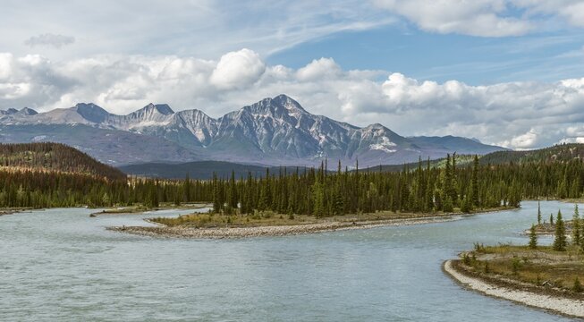 View on wide valley with river, Athabasca River, back mountains, Icefields Parkway, Jasper National Park, Alberta, Canada