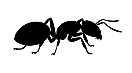 Obraz premium Silhouette of a walking ant in profile