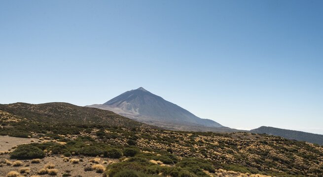 Volcanic landscape, plateau covered with shrubs,   Llano de Uruanca with Pico del Teide, 3718m, Parque Nacional de las Ca&ntilde;adas del Teide, Teide National Park, UNESCO World Heritage Site, Tenerife, Canary Islands, Spain
