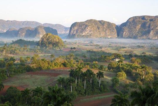 The Vi&ntilde;ales valley with its rocky hills, the unique Mogotes and scattered Royal palms (Roystonea regia), prominent on the right the Mogotes Dos Hermanas, twin sisters, Vi&ntilde;ales, Cuba