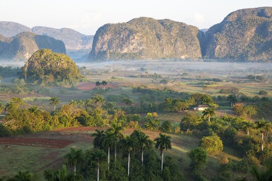 The Vi&ntilde;ales valley with its rocky hills, the unique Mogotes and scattered Royal palms (Roystonea regia), center-right the Mogotes Dos Hermanas, twin sisters, Vi&ntilde;ales, Cuba