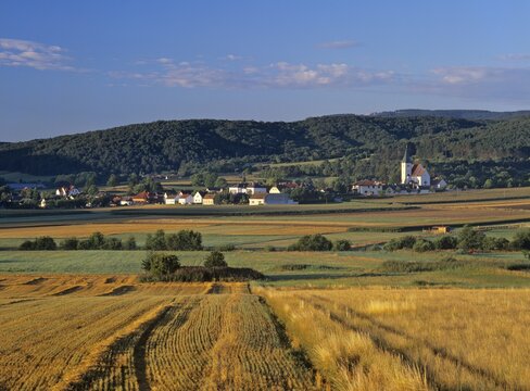 Grain field and Grillenberg village in the morning, Triestingtal, Lower Austria, Austria, Europe