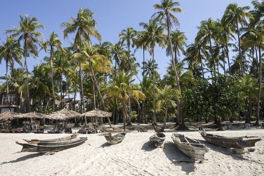 Beach with old parasols and fishing boats under palm trees in Ngapali Beach, Thandwe, Rakhine State, Myanmar